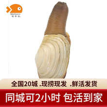 ���͝O�r����ΰ� ���ô�װ���ǰ��Ӱ�ؐ��r��r ��ΰ���2.