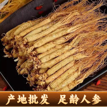 �L��ɽ�˅����˅������Ҝ��ݾ��^���ͶY�|���خa�ׅ��Y���˅�