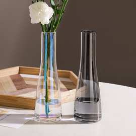 ins风轻奢简约玻璃花瓶透明插花水养鲜花绿植小花瓶摆件客厅北欧