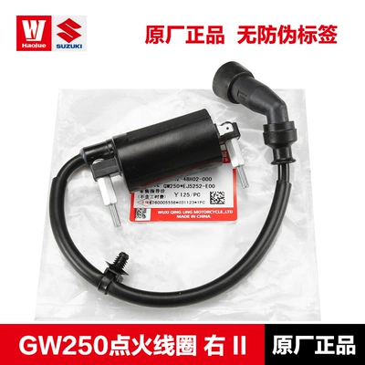 coil high voltage package — Alovlandırıcı (Vozduşka/İqniter) - gw250-ignition-coil-right-ii