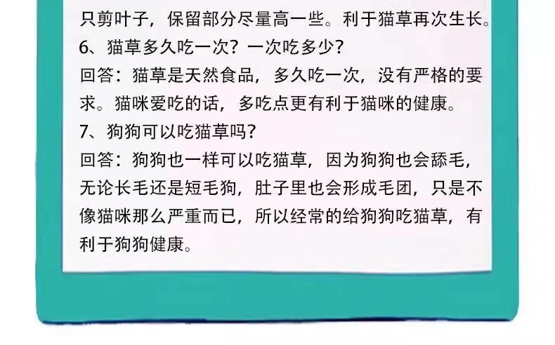 87797a99-6199-4503-b051-8c2cf1ebacac.jpe