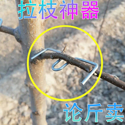 Fruit tree Shaping device Pear branch Stretch Bending Apple Cherry Tree