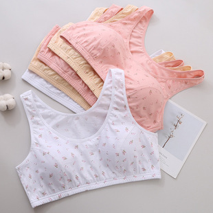 Zhangyan Pure Cotton Middle-aged and Elderly No Steel Ring Pullover Vest with Chest Pad Beautiful Back Pastoral Style Mother Underwear Wide Back