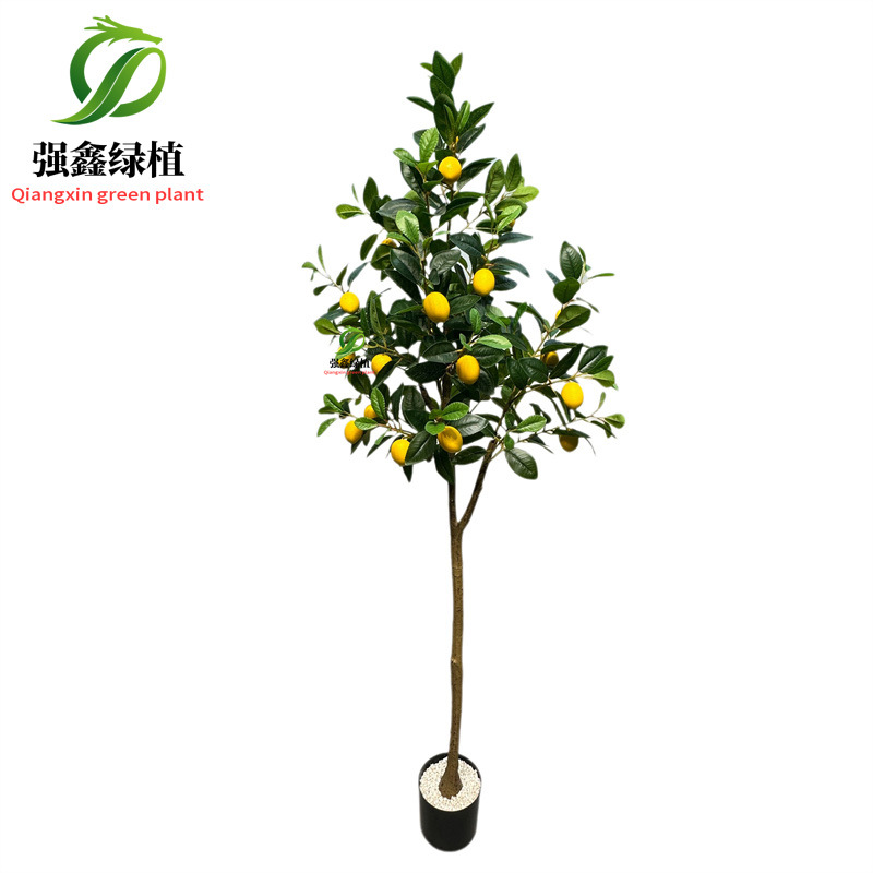 Planta de simulación de interior eucalipto árbol falso bonsai sala de estar decoración del suelo hoja de dinero falsa planta verde adorno en maceta image 42