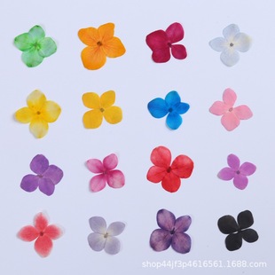 Hydrangea Embossed Dried Flower Bread Plant Specimen Children's Handmade Bookmark Postcard Dried Flower Makeup diy Drop Glue Material