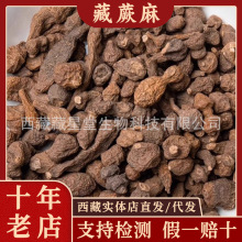 ҰާșƷ؛oԭ˅ȻaҜݾ