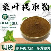 桑叶提取物10:1水溶性桑叶粉食品级原料植物萃取粉末现货包邮