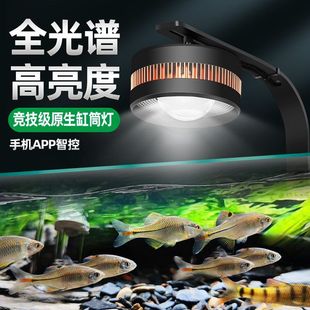 ԭ���B�~��LED��Ϫ���ױ����ȫ���VͲ�����ˮ���~�׌����^�p��