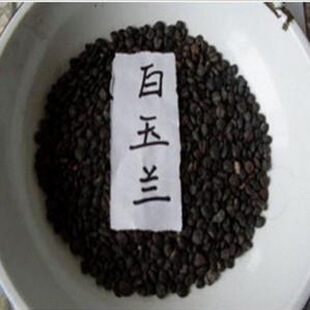 �²����m�N�Ӽt�ϰ����m�S���m�V���m�N�ӹ������ķN���̾G����ľ