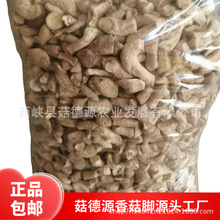 西峡精选双剪香菇脚香菇腿冬菇柄食品厂专用批发商用香菇把香菇柄