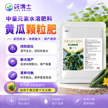 �S���w���ʏͺϷ��ϲˈ@�G�߲�����΢�����ЙC���w���w������