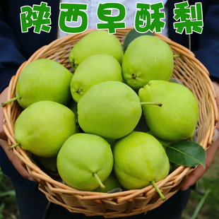 �F؛�F�l�����������Ƥ�������rˮ��Ƥ��΢������֭�ѳ�������