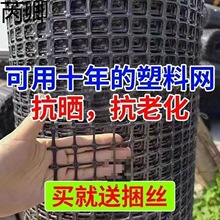 �B�u���ھW���u�Bֳ�W�ˈ@���u���Z���ھW���ϾW���@Ȧ�ط��o���W