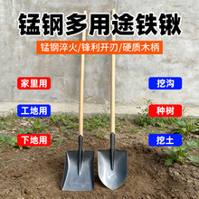 �ҹ��S�������lľ���F�@  ���^���^�F�} ������Ѵ�����P�F�P