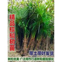 �ؙ������ؘ����ؙ������Ә����ļ�����G����ľͥԺֲ�����Ե���