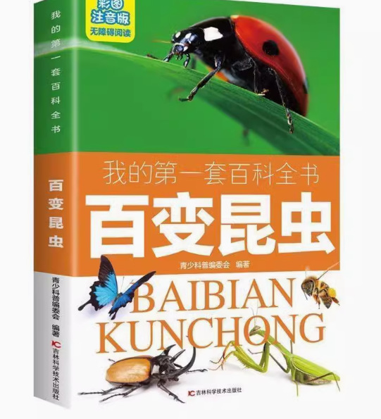 详情图