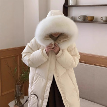 ����90���Z�q��ë�I��q��Ů2025�¿�r���Bñ�L���^ϥ�Ӻ�����