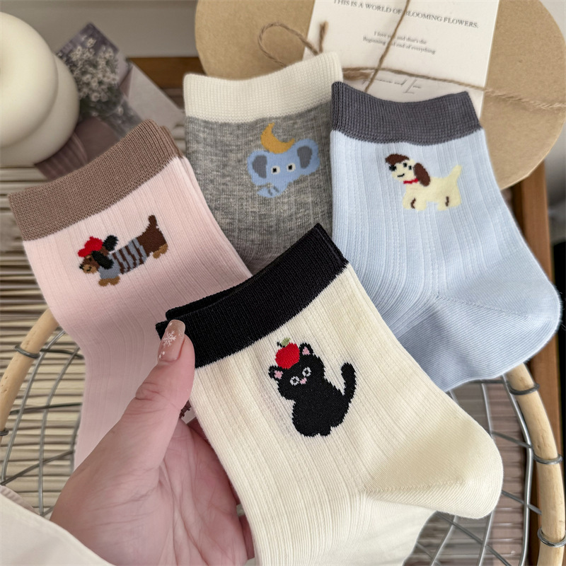 Spring and summer thin AB Korean puppy short tube cartoon socks low cotton socks mid-tube socks color matching dachshund dog socks