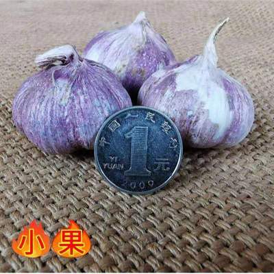 Garlic Yunnan Dali Purple garlic Pesto Dried Garlic wholesale 1-5 Straight hair factory Cross border Electricity supplier