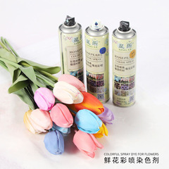 鮮花染色劑玫瑰花束花藝噴漆滿天星丁香紫金色花店專用花研色用品