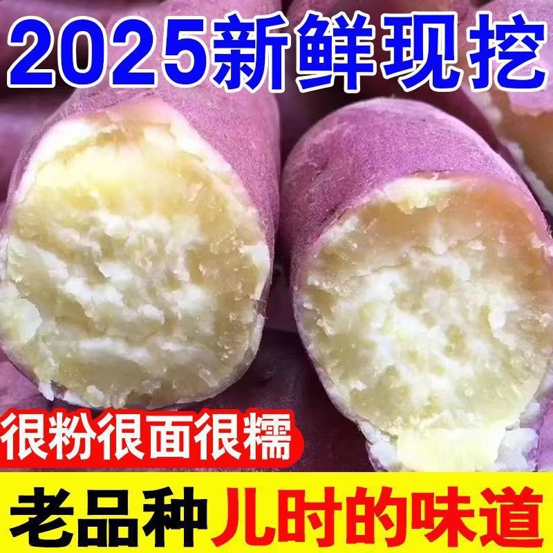 正宗白心红薯新鲜农家红皮板栗薯番薯地瓜粉糯山芋批发