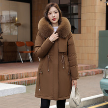 �羳Ů2024���¿�����Ů�n�����L���ë�I�ӽq�����ɿ˷��������l