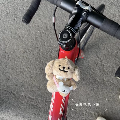 Car ornaments – road and mountain bikes