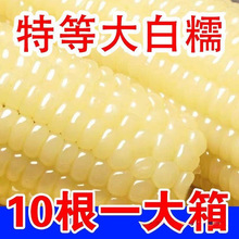 |ŴrFժbʳܛŴճװͰ