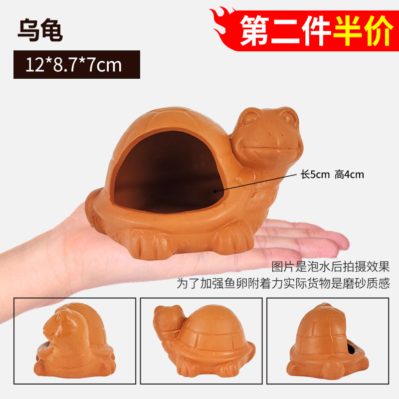 작은 거북이 보호소