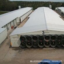 自动化养鸡大棚现代化养殖场规划建造专业生产厂家轻钢恒温肉鸡舍