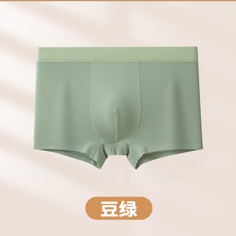 콩 녹색