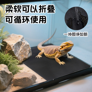 ���R�d�����|�������،m��ˮ�|�� EVA�ɲü���������������|��