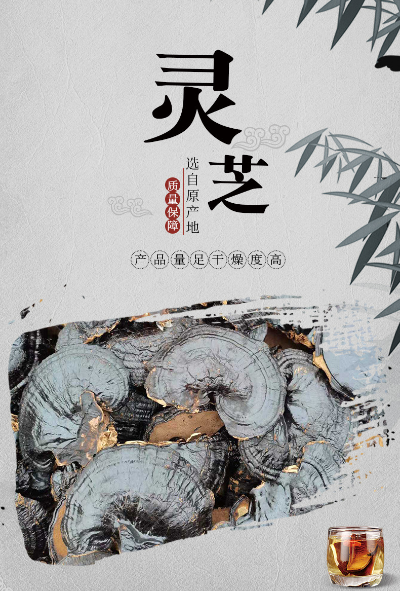 灵芝】_02.jpg