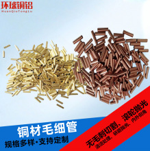 H65�S�~��&Phi;0.8-100mm���������~�����~�h�����и��ë����