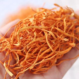 ��؛�x����؛���l�o����r���خa�o�s�|��؛�����^�Ҝ�����