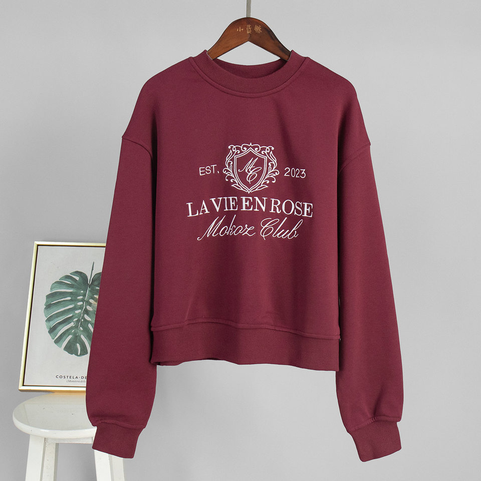 Bộ đôi áo nỉ thêu và quần dài nữ phong cách casual — Màu trắng nhạt, Màu xanh hải quân, màu xám, nâu sẫm chi tiết 10