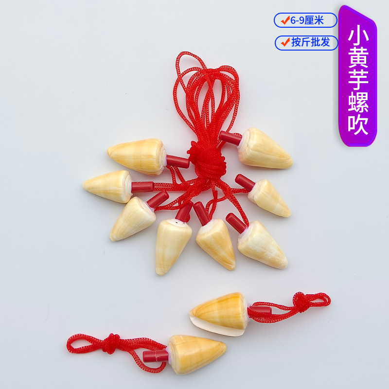 露店の装飾品、さまざまな貝殻、巻貝の工芸品、貝殻、巻貝の笛、子供のおもちゃ、巻貝の笛の卸売|undefined