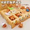 Full resin 12-hole blind box [no repetition]