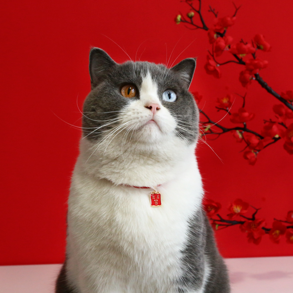 Mascotas gatos de Año Nuevo cuerda roja marca Fu collar de campana ajustable para atraer dinero collar de conejo Teddy accesorios del Festival de Primavera