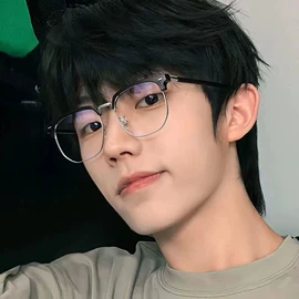 太阳镜;老花镜;光学眼镜