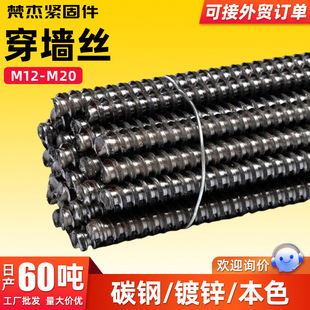 4.8����\������˨�ǘ˸ߏ��ȼ��L�����ݗUM12-M16̼䓴����z�F؛