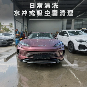 BYD Seal milçək toru, inteqrasiya olunmuş çıxarıla bilən radiator barmaqlıq modifikasiyası