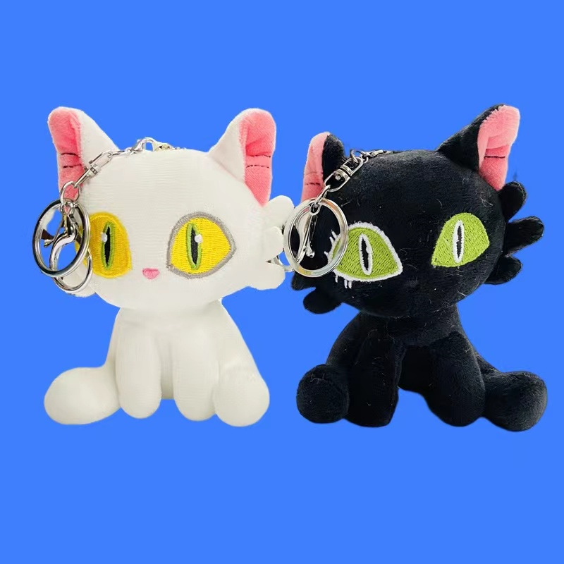 Black and white cat