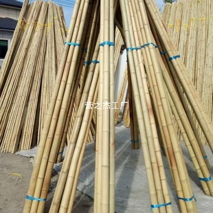 Wholesale Anti-Corrosion Bamboo Poles for Decoration, White and Yellow Thick and Thin Bamboo Poles for Bean and Vegetable Gardens, Cucumber Trellis, Vegetable Racks, Bamboo Flagpoles, Nan Bamboo