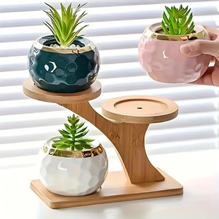 2025 Cross-Border Labeling Bamboo Multi-Layer Desktop Flower Stand Succulent Display Stand Office Living Room Removable