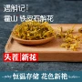 霍山新花花色铁皮石斛