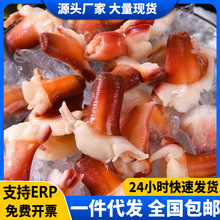 新鲜兰花蚌刺身海鲜冰山蚌料理新鲜解冻北极贝即食寿司日料店同款