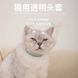 伊丽莎白圈;宠物项圈;狗狗清洁