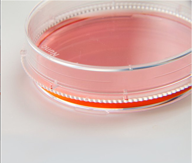 Nunc能肯培养皿150460经标准NunclonDelta表面处理易抓取空气流通