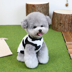 狗狗衣服宠物服装小型犬猫咪可穿秋冬保暖25小奶狗绒衣加厚保暖